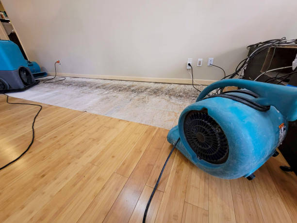 Reliable Basement Flood Cleanup contractor in Frederick, OK by Hirex Water Damage