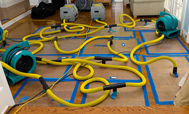 Professional Basement Flood Cleanup technician working in Frederick, OK
